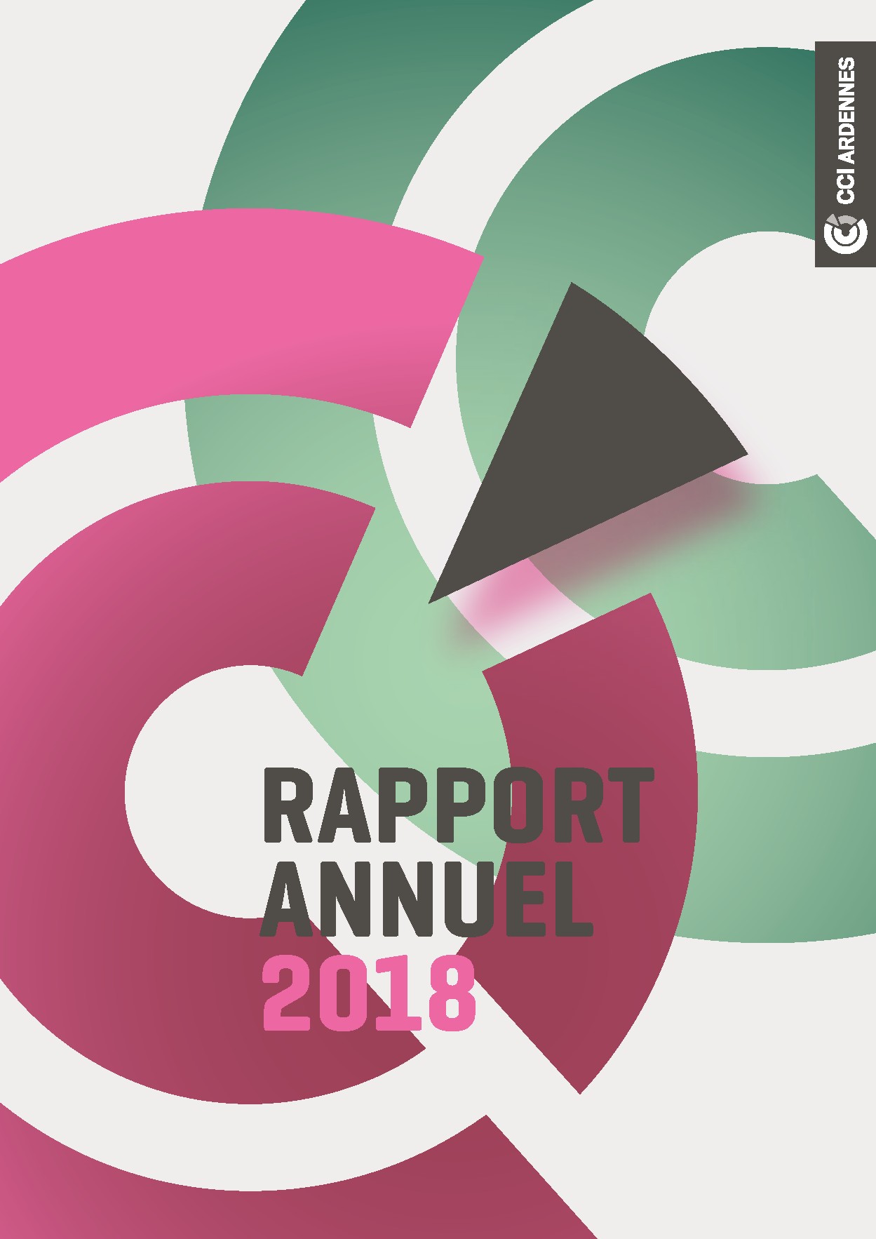 rapport-d-activite-2018-cci-ardennes-publication.jpeg