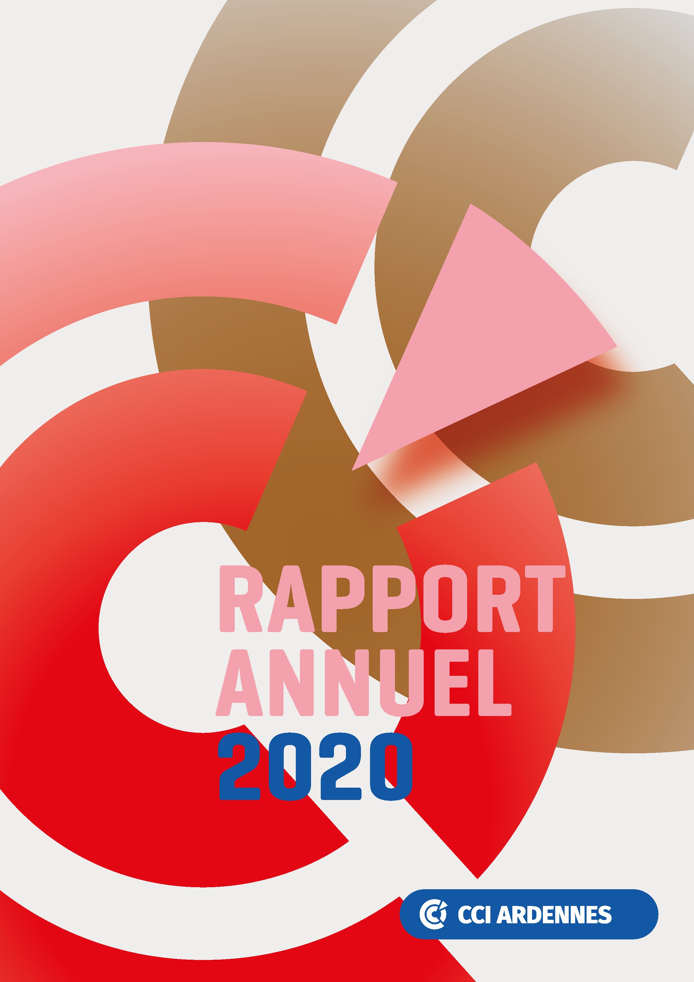 rapport-d-activite-2020-cci-ardennes-publication.jpeg